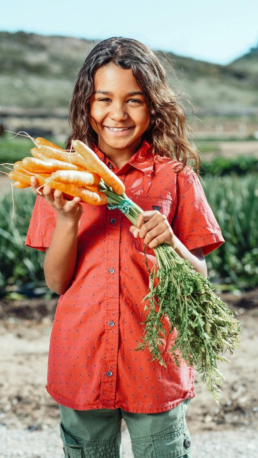 Community-Supported Agriculture (CSA) Programs Near You: Your Guide to Fresh, Local Produce