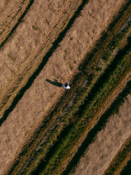The Ultimate Guide to DJI Sprayer Drones: Enhancing Agricultural Efficiency